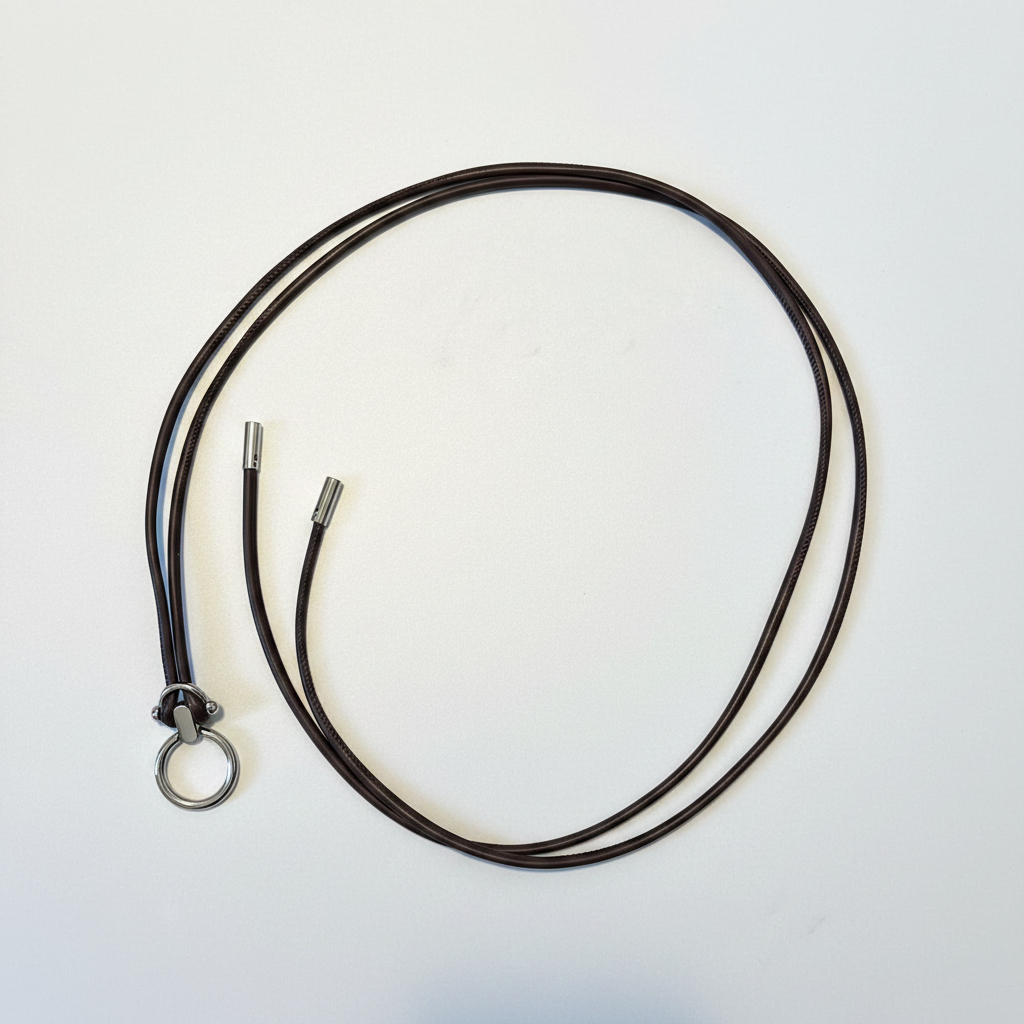 Brown Ring Clasp Belt Flat Lay